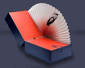 ascis-doos-zijkant-300px