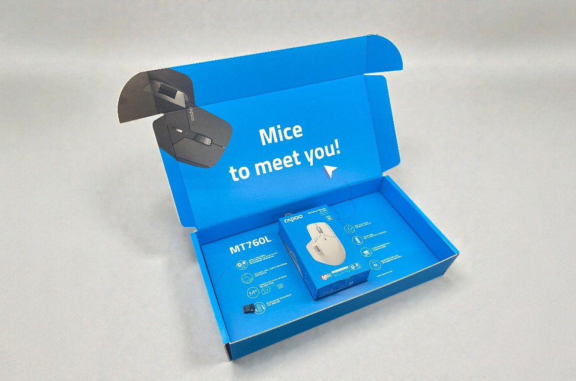 Bedrukte e-commerce verpakking van golfkarton met klepdeksel